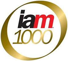 IAM1000
